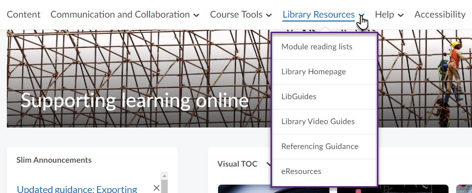 Library resources via Brightsapce navbar